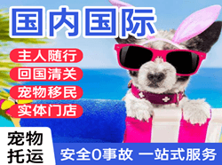 黑河航空托运国际宠物托运 【国